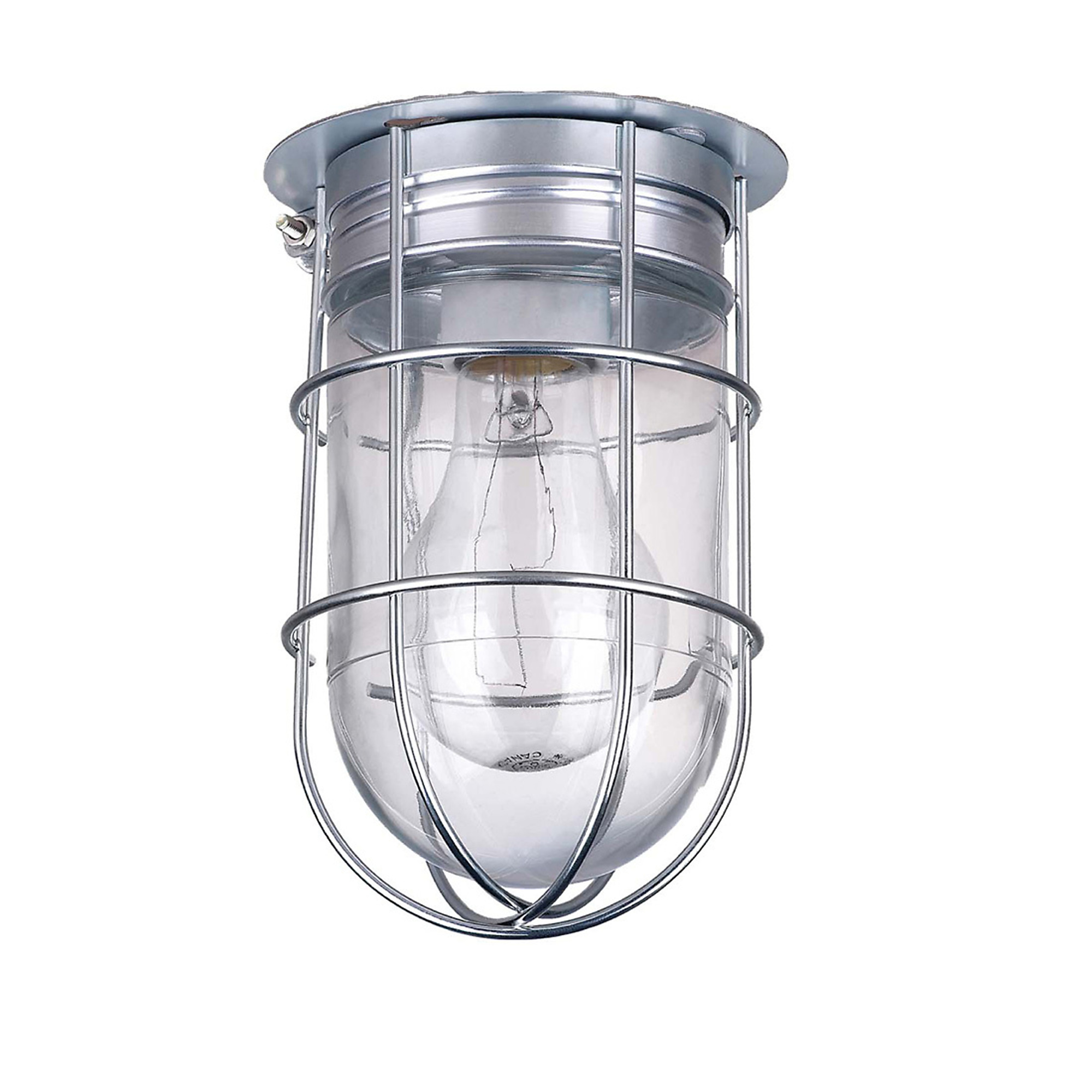 Canarm Ceiling/Wall Outdoor/Indoor Barn Light with Cage, 4.5in. Dia., 100 Watts, Model# BL04CWG